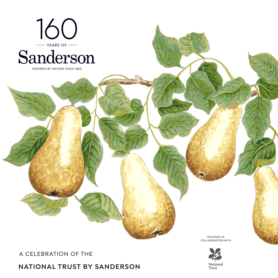 Sanderson 160 Ȼϵ